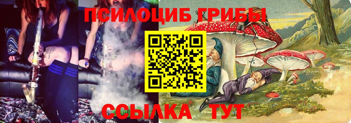 Магадан  Псилоцибиновые грибы мухоморы  Вход с VPN 